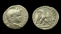 Syria, Seleucis and Pieria, Caracalla, Tetradrachm, Eagle with Murex Shell reverse